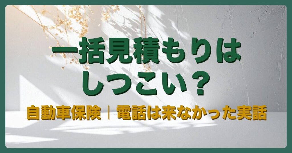 自動車保険の一括見積もりはしつこい？実際に試した結果のアイキャッチ