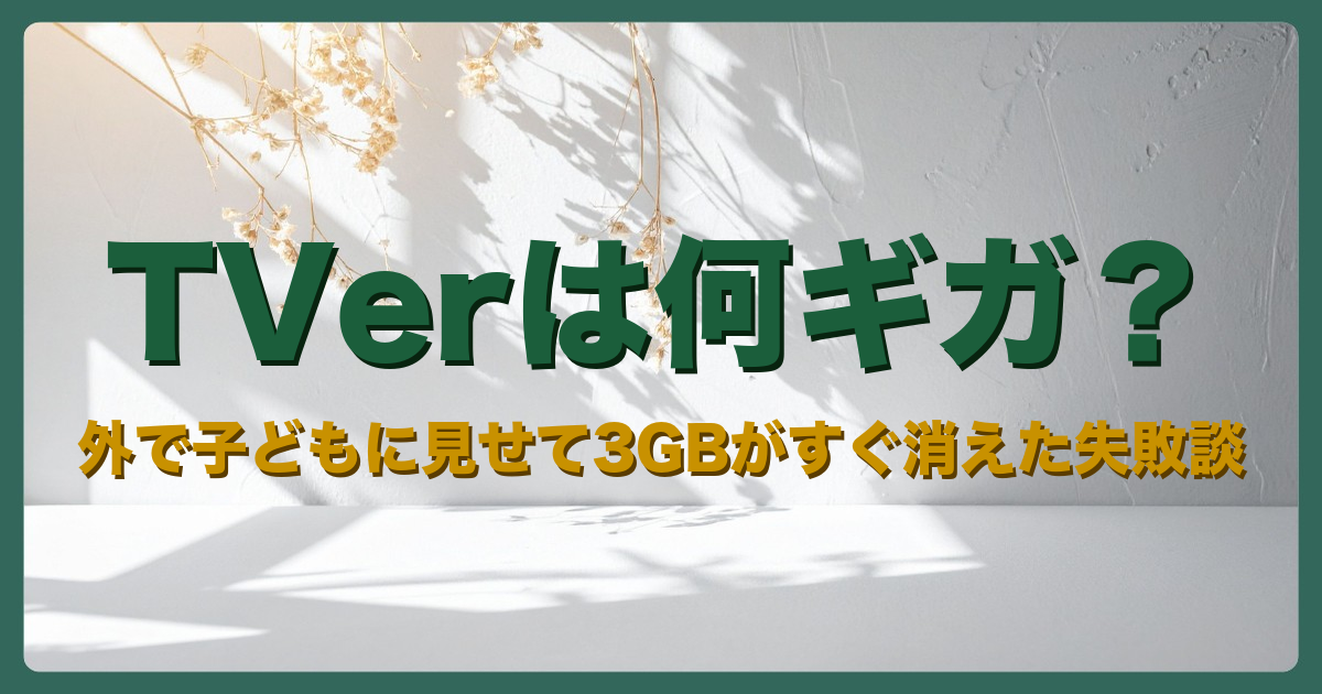 記事「TVerは何ギガ？外で子どもに見せて3GBがすぐ消えた失敗談」のアイキャッチ画像